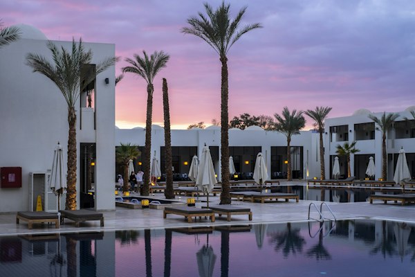 Hotel exterior with palm trees